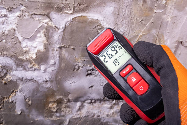 Trusted Moxee, WA Mold Remediation Experts