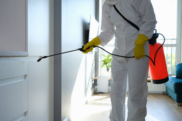 Best DIY Mold Remediation Support Services in Moxee, WA