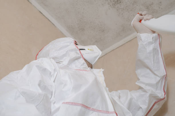Best Crawl Space Mold Remediation in Moxee, WA