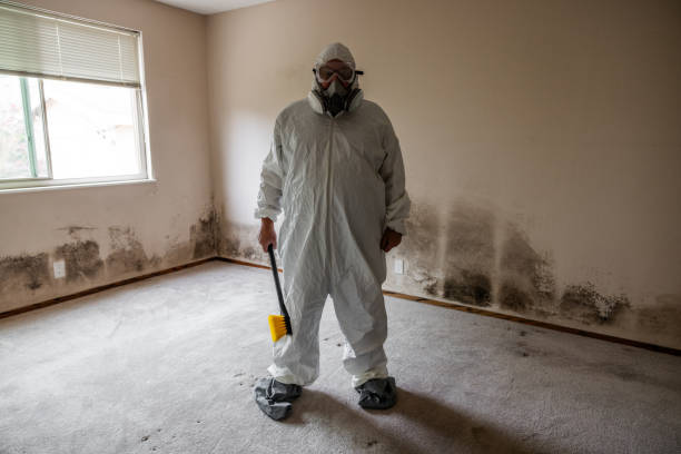 Best Residential Mold Remediation in Moxee, WA